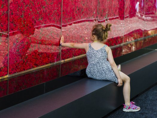 usaa-poppies-washington-girl-8dd6a297e40cedbc1790961bd5eaa18c861e0e08-s800-c85